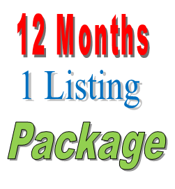 12 Months 1 Listing